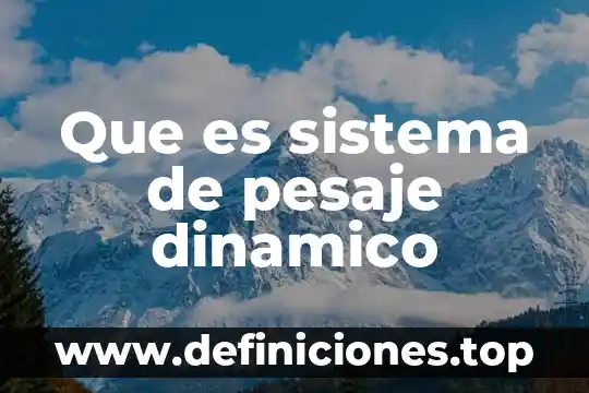 Que es una afluente en el sistema circulatorio humano 8 Que es sistema de pesaje dinamico