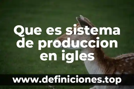 El sistema digestivo que es 6 Que es sistema de produccion en igles