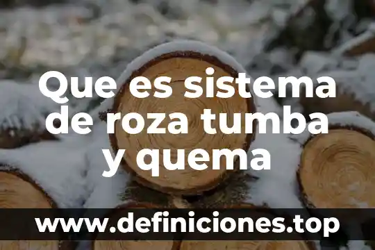 Que es la evaluacion del sistema 8 Que es sistema de roza tumba y quema
