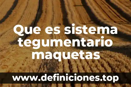 Que es el sistema tegumentario y sus anexos 6 Que es sistema tegumentario maquetas