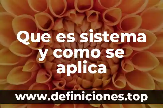 Que es sistema y como se aplica