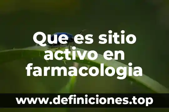 Que es sitio activo en farmacologia