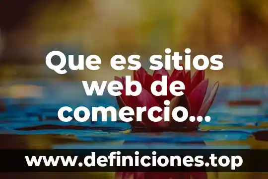 Que es osint a sitios web 4 Que es sitios web de comercio electronico