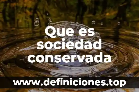 Que es la sociedad del conocimiento resumen 4 Que es sociedad conservada