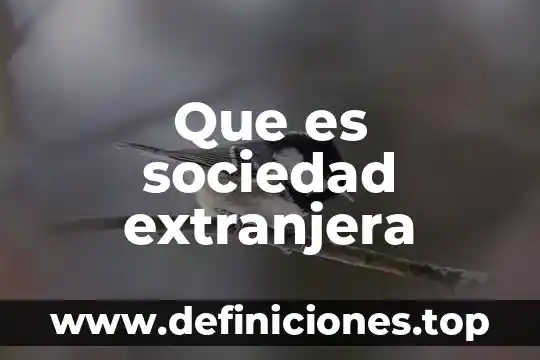 Mano de obra extranjera que es 3 Que es sociedad extranjera