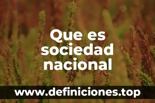 Que es sociedad nacional
