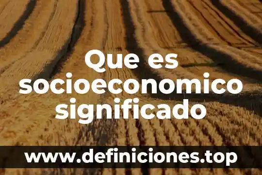 Que es una piñata significado 7 Que es socioeconomico significado