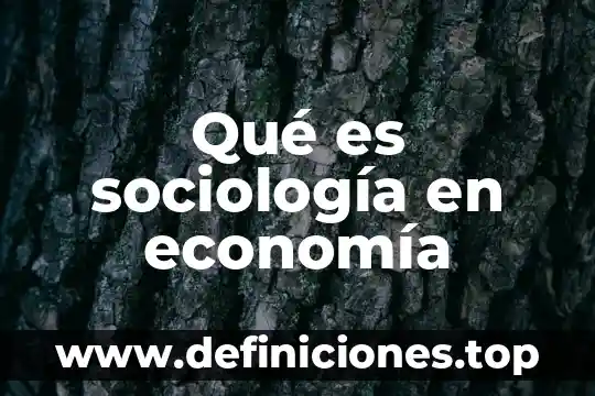 Que es sociología comprensiva mapa conceptual 5 Qué es sociología en economía
