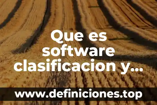 Que es software clasificacion y ejemplos