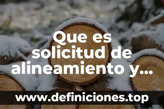 Que es solicitud de alineamiento y numero oficial puerto vallarta
