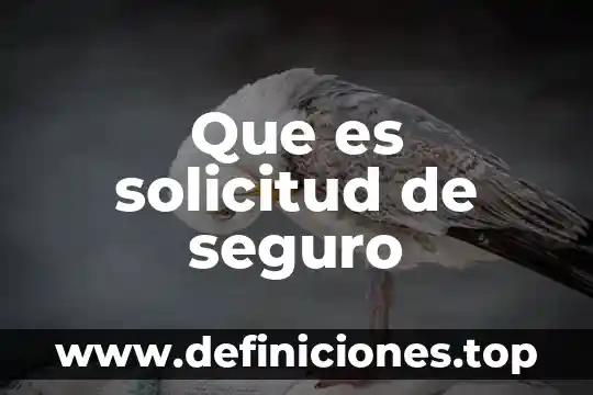 Qué es un seguro sash 7 Que es solicitud de seguro