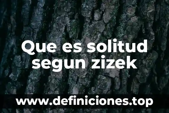 Qué es un signo según Vygotsky 5 Que es solitud segun zizek