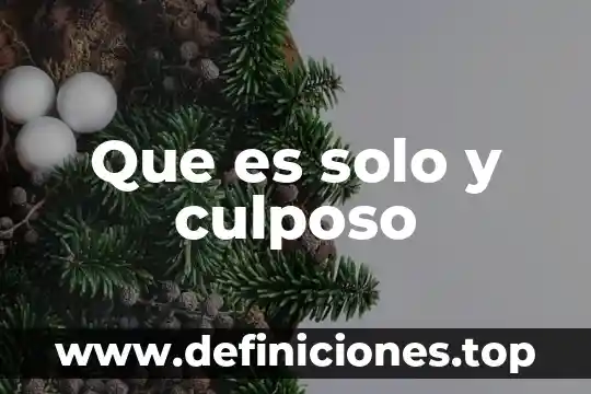Que es solo y culposo