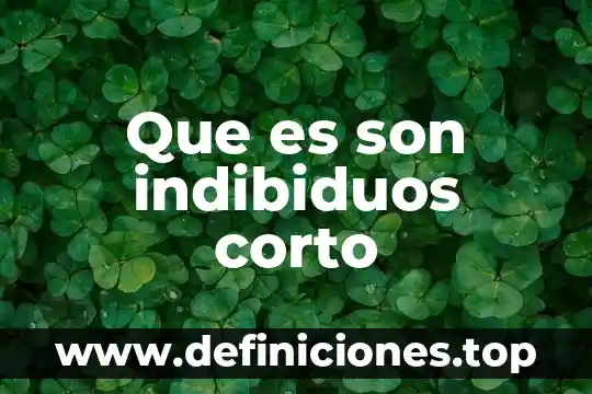 Que es un adjetivo corto ingles 3 Que es son indibiduos corto