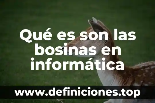 Qué es casete en informática 4 Qué es son las bosinas en informática