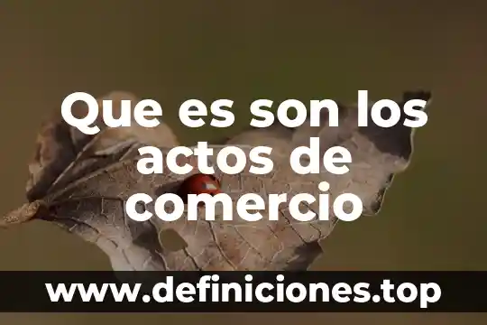 Que es son los actos de comercio