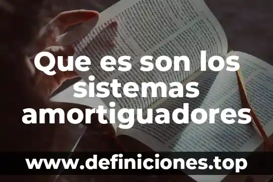 Que es scouting en sistemas 5 Que es son los sistemas amortiguadores