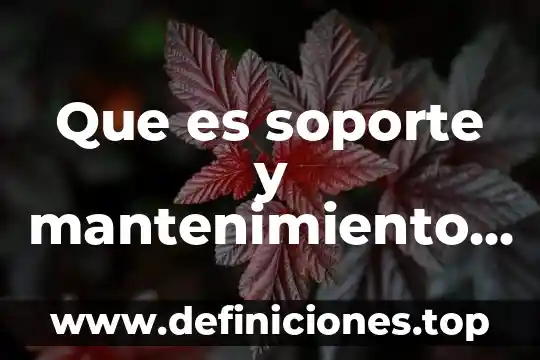 Sistemas distribuidos que es 6 Que es soporte y mantenimiento en sistemas