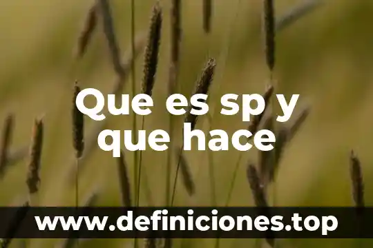 Que es un factor unitario de conversion en fisica 8 Que es sp y que hace
