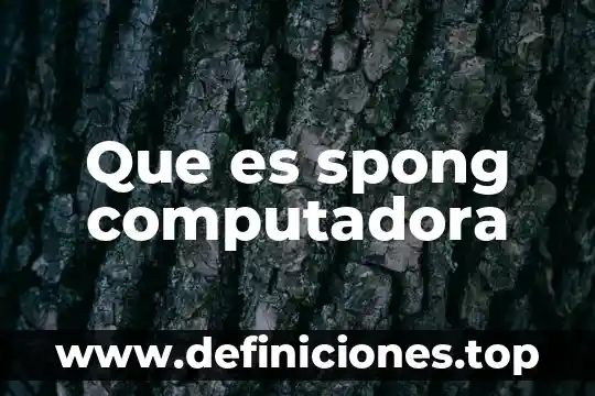 Que es el codigo ascii computadora 7 Que es spong computadora