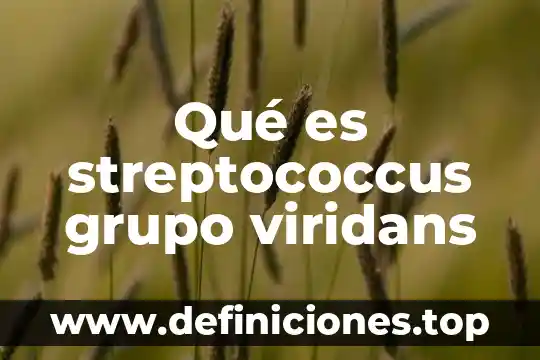Que es un producto hortofruticola y que procesos lleva 4 Qué es streptococcus grupo viridans