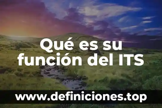 Qué es su función del ITS