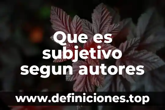 Que es una empresa comercial segun autores 6 Que es subjetivo segun autores