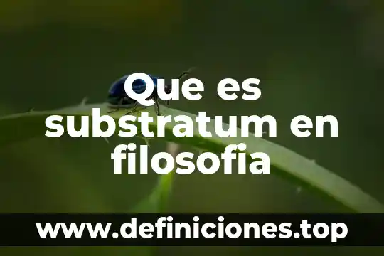 Que es substratum en filosofia