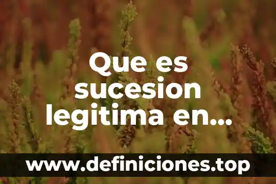 Que es un metodo de avastecimeinto y para que sirve 6 Que es sucesion legitima en derecho