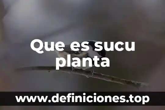Que es una sistema electrico 5 Que es sucu planta
