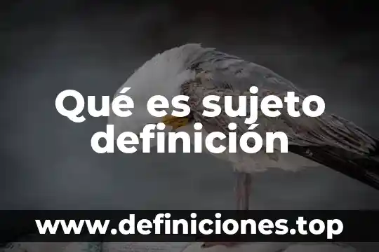 Qué es sujeto definición