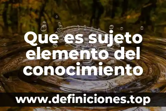 Que es sujeto y funcion 8 Que es sujeto elemento del conocimiento