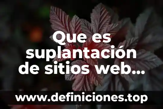 Que es osint a sitios web 3 Que es suplantación de sitios web para capturar datos personales