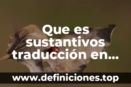 Qué es una reliquia en inglés 4 Que es sustantivos traducción en ingles a español