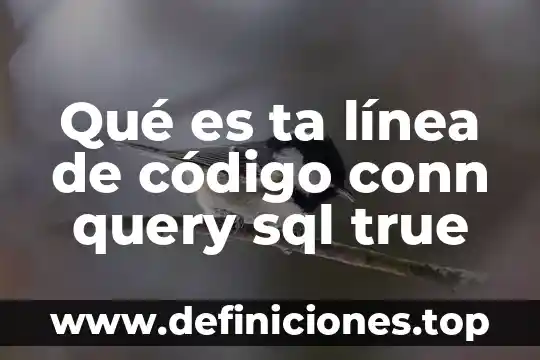 Que es una funcion query 3 Qué es ta línea de código conn query sql true