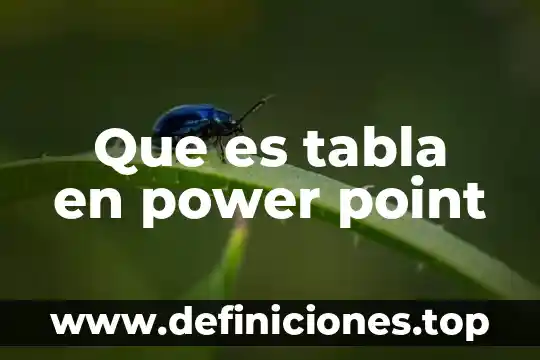 Introducciones para definir que es el hombre en power point 8 Que es tabla en power point