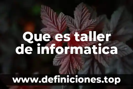 Que es un dono en programacion 5 Que es taller de informatica