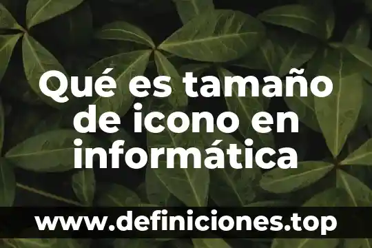 Qué es tamaño de icono en informática