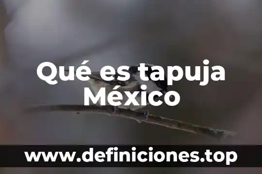 Que es ser algo 7 Qué es tapuja México