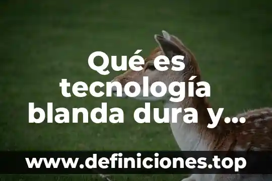 Qué es tecnología blanda dura y apropiada