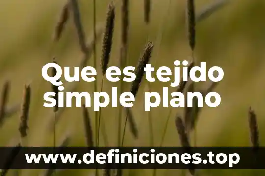 Que es ep en plano 5 Que es tejido simple plano