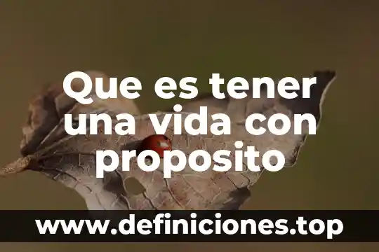 Que es tener un amigo en comun en facebook 3 Que es tener una vida con proposito