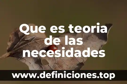 Que es teoria de las necesidades