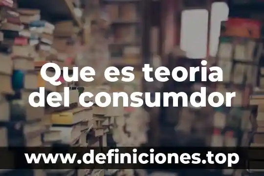 Que es una teoria civilista ejemplos 6 Que es teoria del consumdor