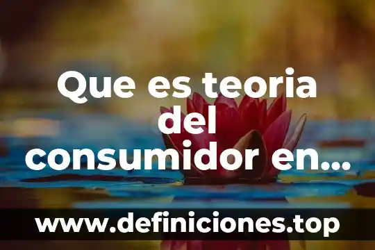 Que es teoria del consumidor en economia