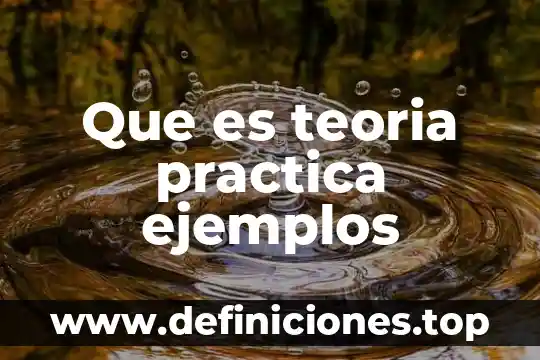 Que es teoria practica ejemplos