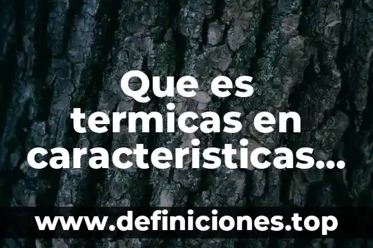 Que es el renacimiento español caracteristicas 7 Que es termicas en caracteristicas de la materia