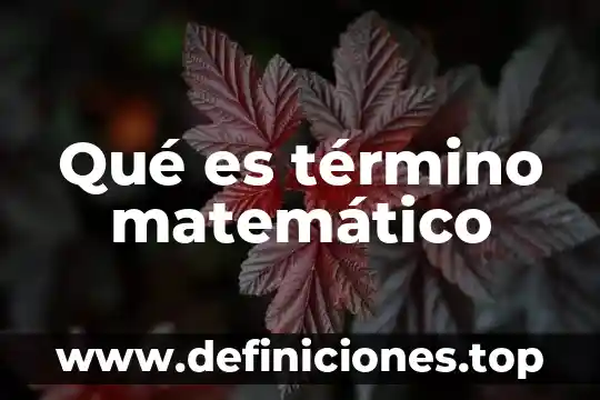 Qué es término matemático