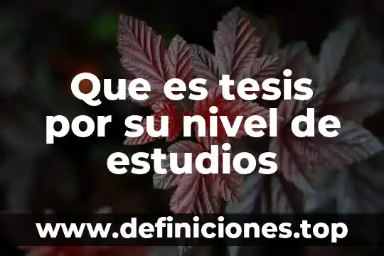 Que es en cualquier nivel p.u.o.t 4 Que es tesis por su nivel de estudios