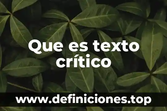 Que es una dervripcion de un texto poetico 5 Que es texto crítico